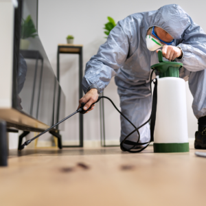 Choosing the Right Pest Control Service