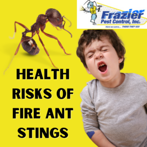 Health Risks of Fire Ant Stings