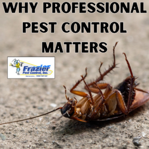 Why Professional Pest Control Matters