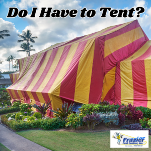Tenting for Termites