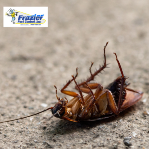 pest control in Coachella Valley