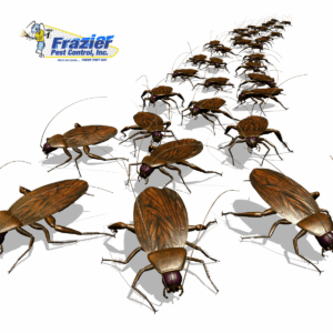 Proven Cockroach Control Strategies