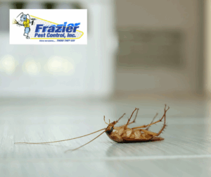 Warning Signs of Cockroaches in Your HVAC System