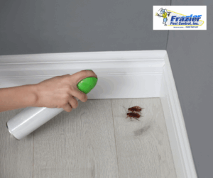 How to Prevent Cockroach Infestations Through Your HVAC
