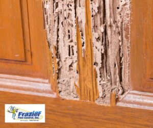 Are termite treatments safe for my pets and family?