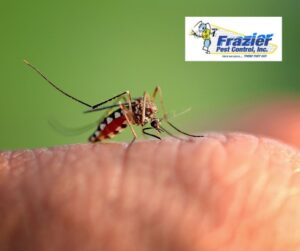 Safe and Effective Strategies for Mosquito Control
