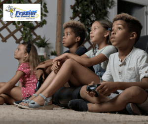 Xbox vent – common entry point for roaches