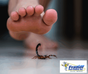  What are the most common fall pests in the Coachella Valley?