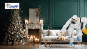 December indoor pests