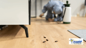 December indoor pests