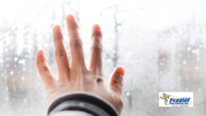 How Moisture Problems Inside Your Home Lead to Pest Infestations