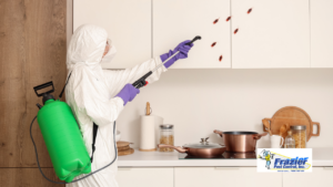 The Subtle Signs of a Cockroach Problem Most Coachella Valley Homeowners Overlook.