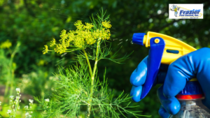 Coachella Valley pest control for year-round home protection