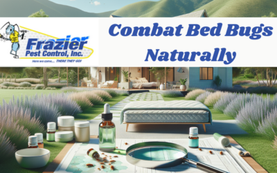 Combat Bed Bugs Naturally: Proven Strategies