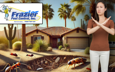 Expert Pest Management for Coachella Valley