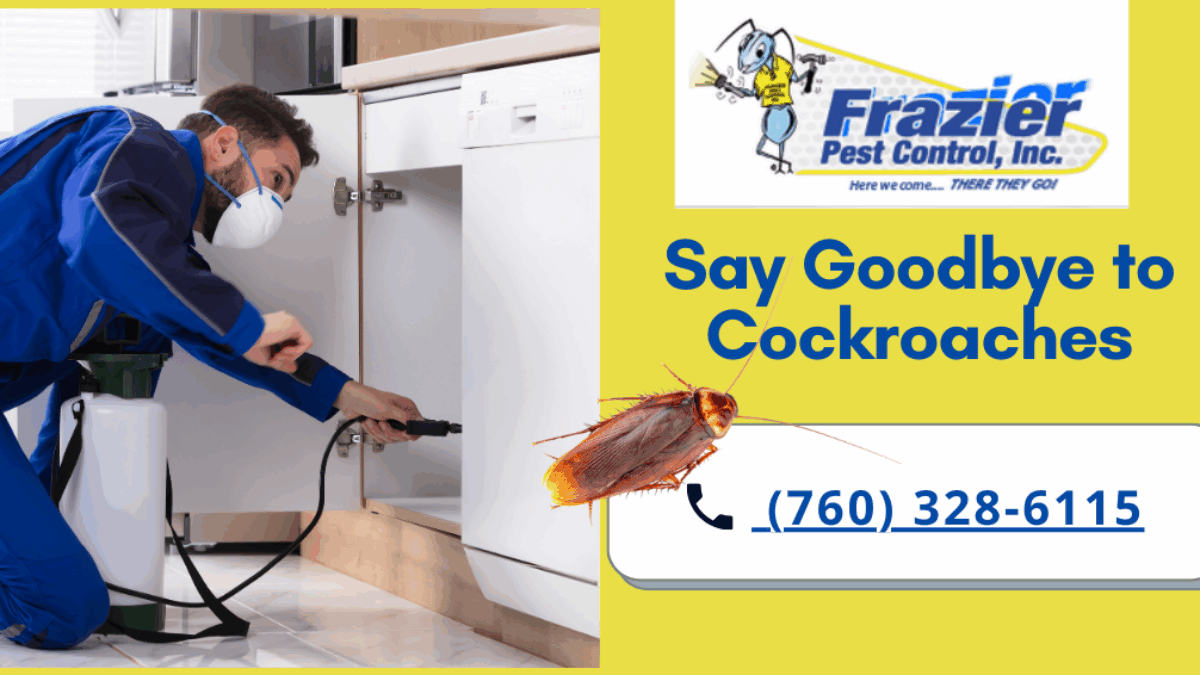 Goodbye Cockroaches! Ultimate Guide to Safe and Effective Cockroach Control  - Frazier Pest Control