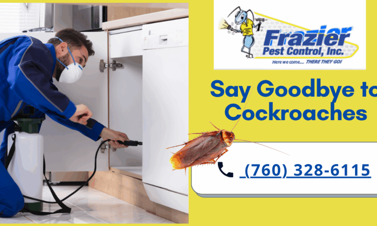 Goodbye Cockroaches! Ultimate Guide to Safe and Effective Cockroach Control  - Frazier Pest Control