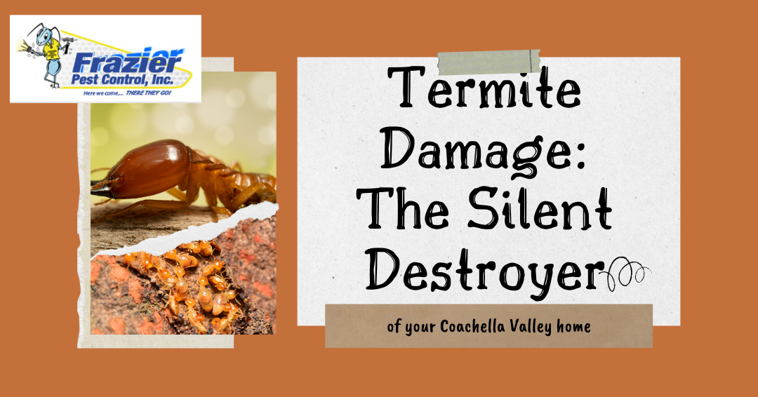 Termite Damage: The Silent Destroyer of Your Coachella Valley Home