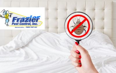 Bed Bug Prevention and Treatment Tips: Expert Advice from Frazier Pest Control