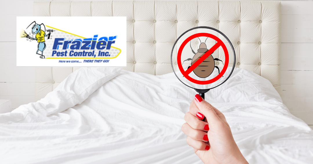 Bed Bug Prevention and Treatment Tips: Expert Advice from Frazier Pest Control