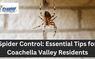 Spider Control: Essential Tips for Coachella Valley Residents