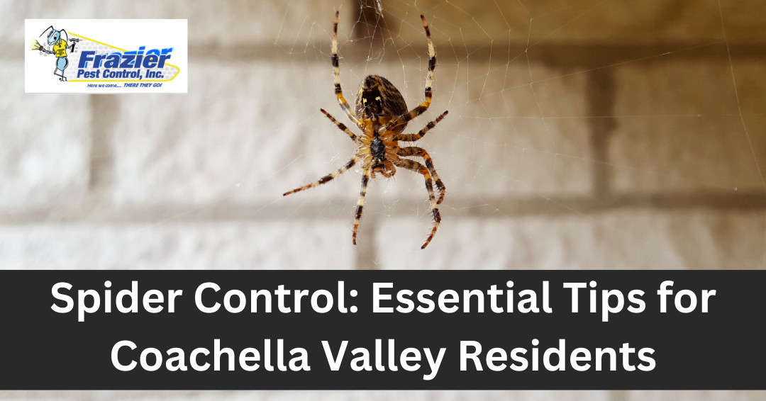 Spider Control: Essential Tips for Coachella Valley Residents