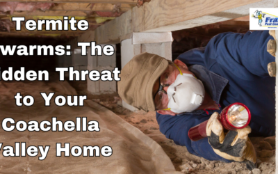 Termite Swarms: The Hidden Threat to Your Coachella Valley Home