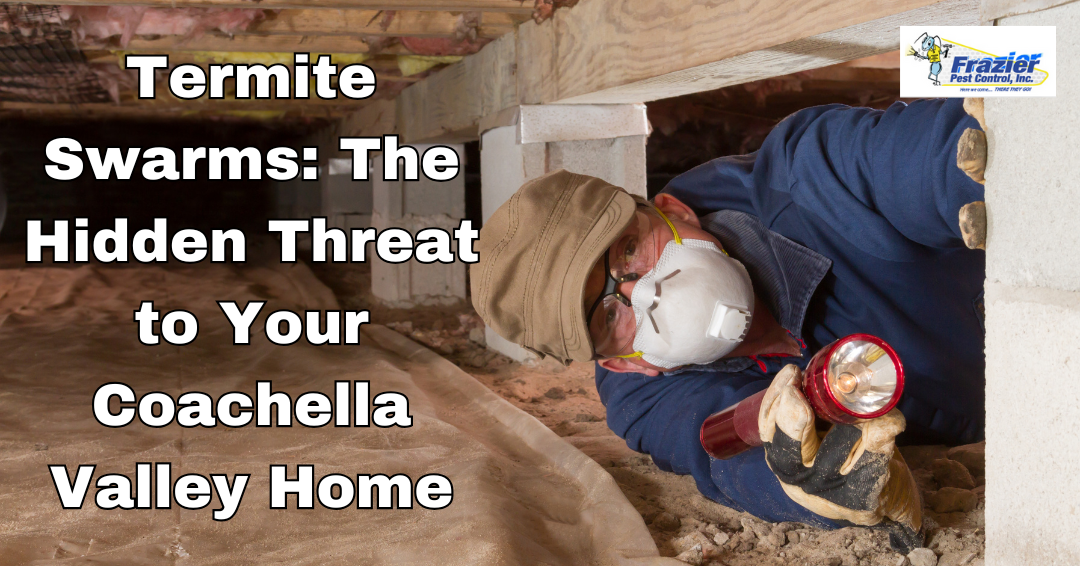 Termite Swarms: The Hidden Threat to Your Coachella Valley Home