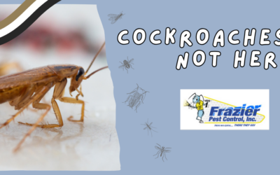 Cockroach Infestation Solutions for Coachella Valley