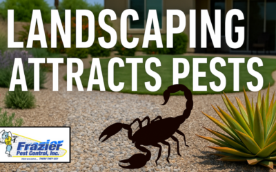 Pest Control Landscaping Tips for Coachella Valley Yards