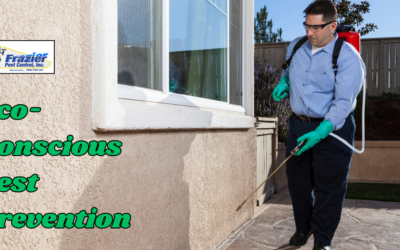 Eco-Conscious Pest Prevention in Coachella Valley