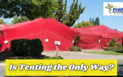 Is Tenting the Only Way to Treat Termites? Coachella Valley