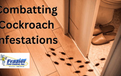 Combatting Cockroaches: Strategies for Coachella Valley
