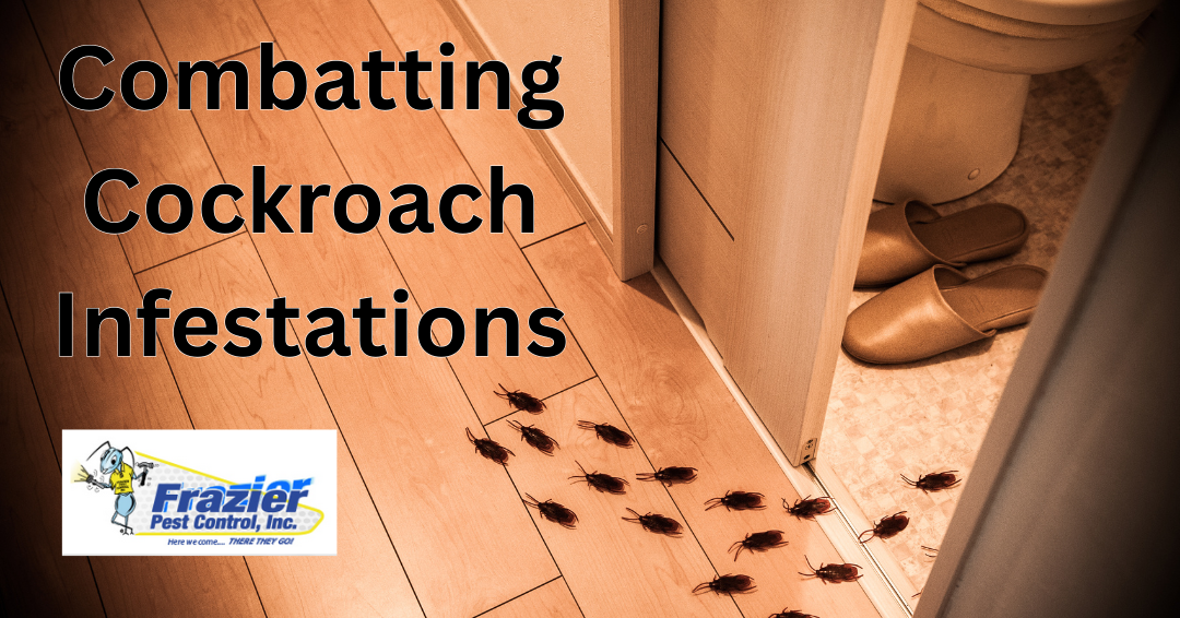 Combatting Cockroaches: Strategies for Coachella Valley