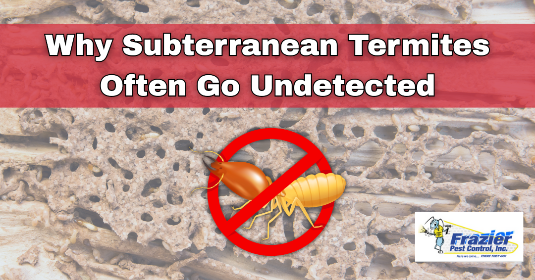Why Subterranean Termites Often Go Undetected in Coachella Valley Homes