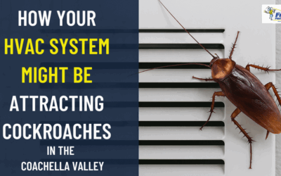 How Your HVAC System Could Be Attracting Cockroaches in Desert Homes