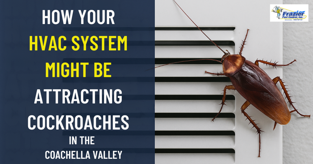 How Your HVAC System Could Be Attracting Cockroaches in Desert Homes