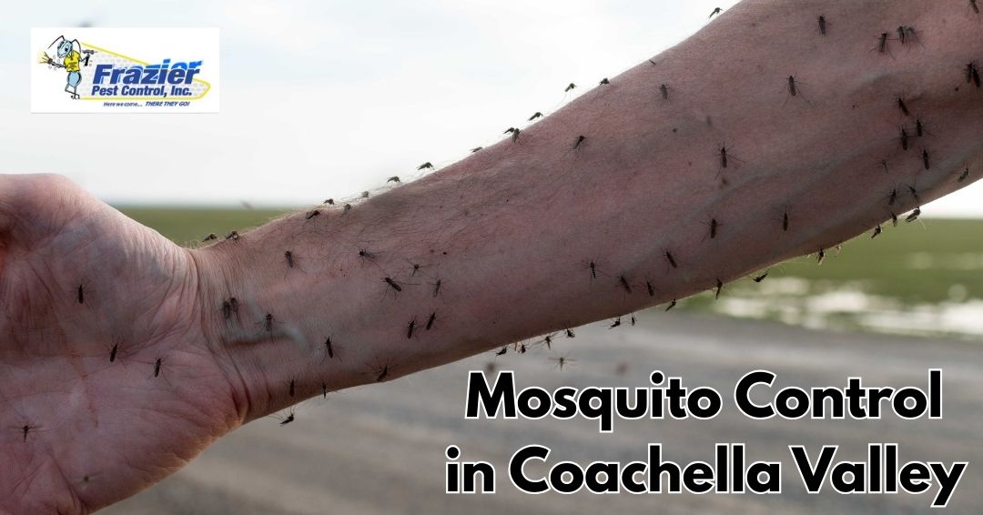 Mosquito Control Coachella Valley Made Simple