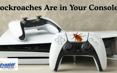 Gamers Beware: Roaches Could Be Hiding in Your PS5 or Xbox