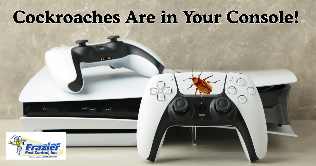 Gamers Beware: Roaches Could Be Hiding in Your PS5 or Xbox