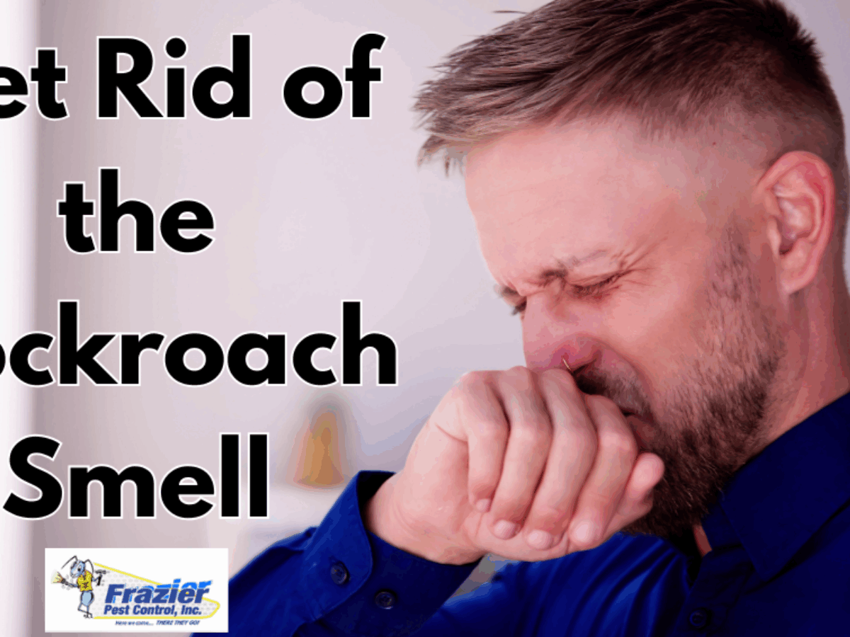 How to Get Rid of Cockroach Smell: Effective Tips That Work Fast
