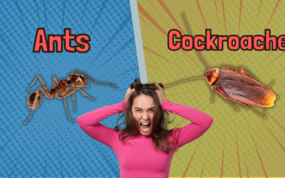 Ants vs Cockroaches: Which Pest Is Worse in the Coachella Valley?