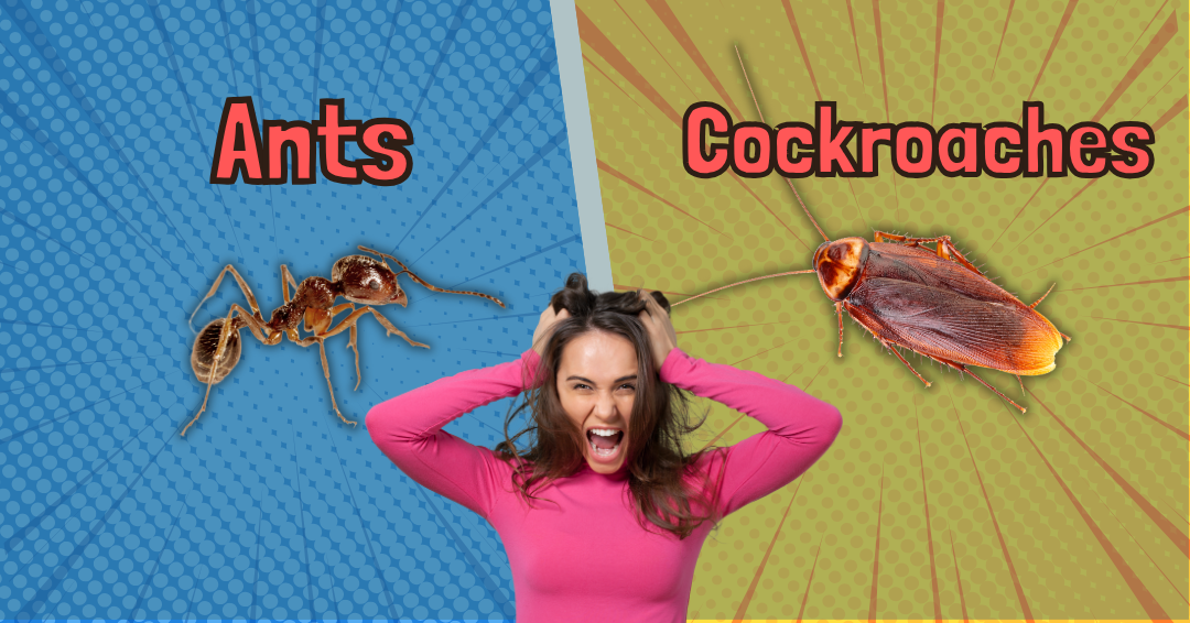Ants vs Cockroaches: Which Pest Is Worse in the Coachella Valley?