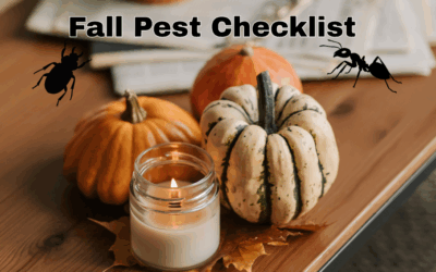 The Fall Pest Checklist: 7 Things to Do Before Temperatures Drop