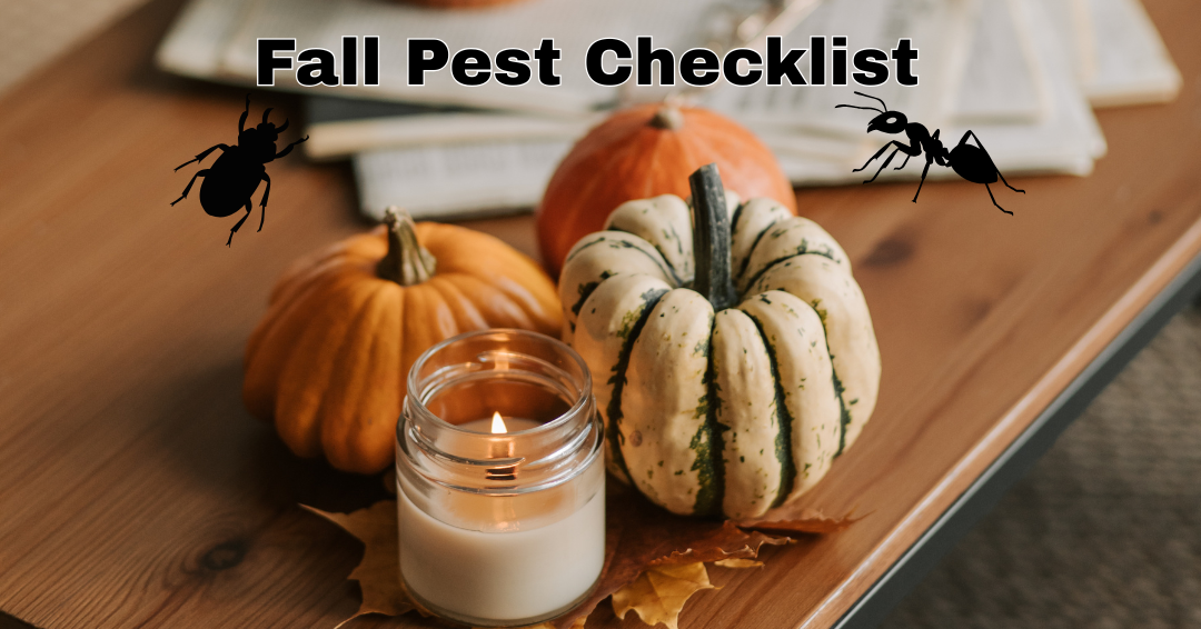 The Fall Pest Checklist: 7 Things to Do Before Temperatures Drop