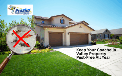 Keep Your Coachella Valley Property Pest-Free All Year