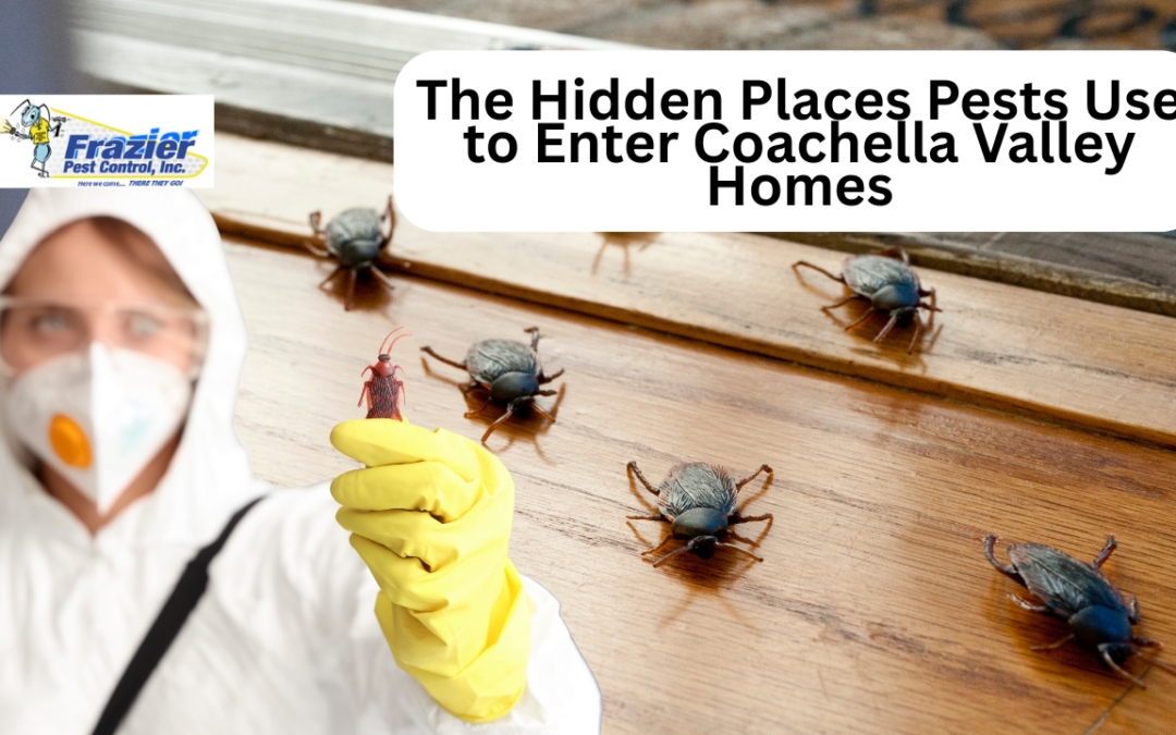 The Hidden Places Pests Use to Enter Coachella Valley Homes