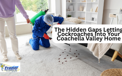 The Hidden Gaps Letting Cockroaches Into Your Coachella Valley Home