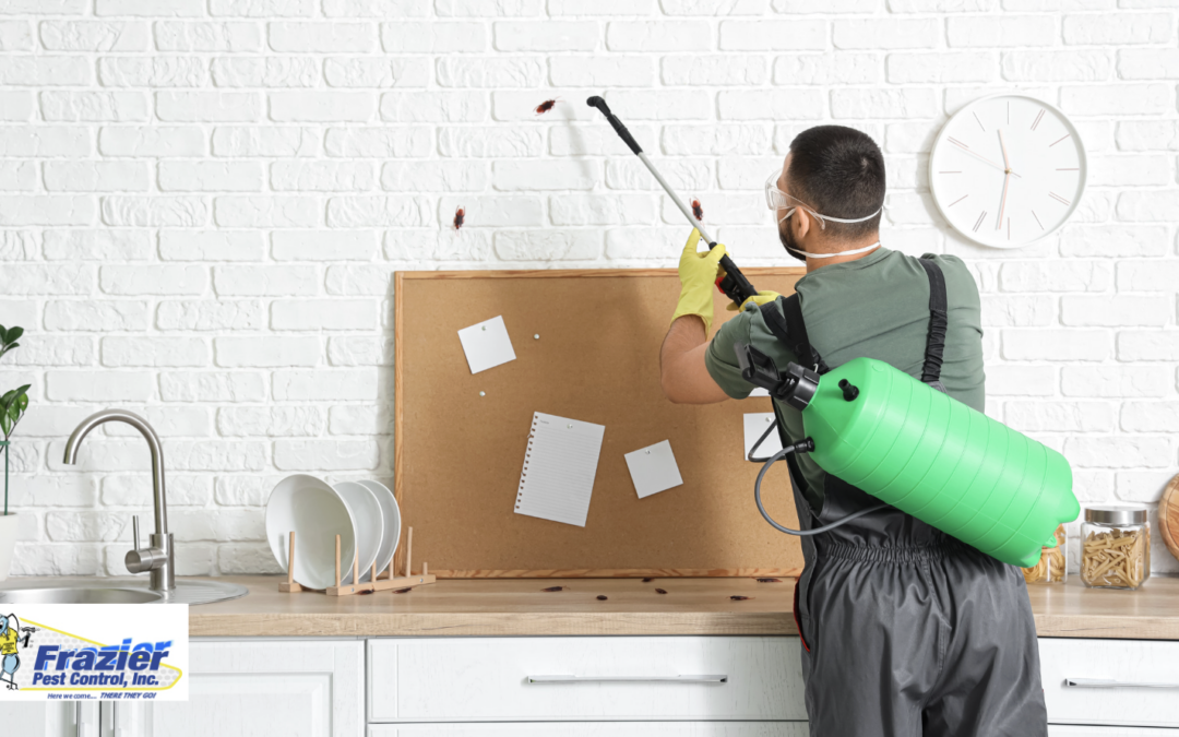 Why Seeing One Cockroach Is Almost Never Just One