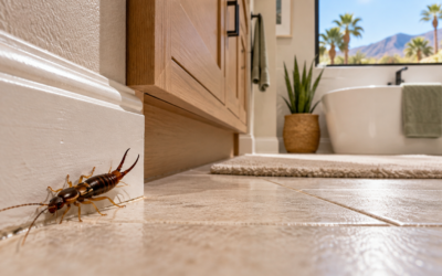 Stop Earwigs From Showing Up in Your Palm Springs Bathroom Overnight